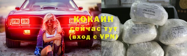 ALPHA PVP Богородицк
