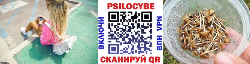 Псилоцибиновые грибы GOLDEN TEACHER  блэк спрут   Свирск 